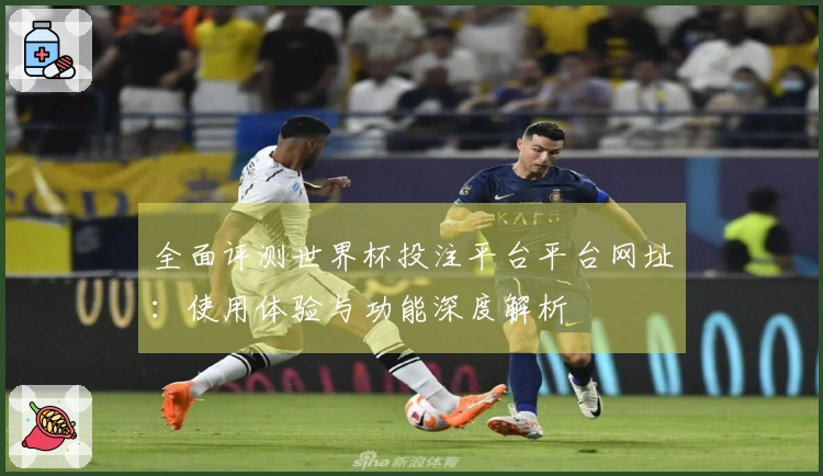 全面评测世界杯投注平台平台网址：使用体验与功能深度解析