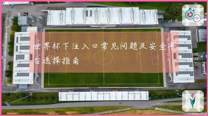 世界杯下注入口常见问题及安全平台选择指南