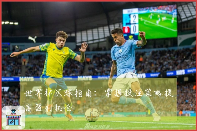 世界杯买球指南：掌握投注策略提高盈利机会