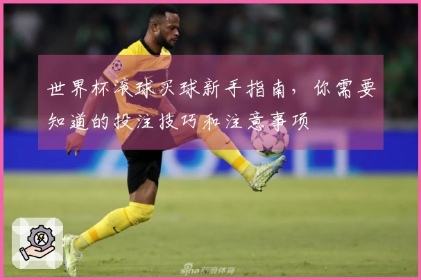 世界杯滚球买球新手指南，你需要知道的投注技巧和注意事项