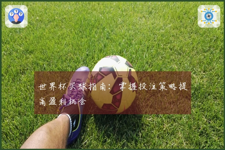 世界杯买球指南：掌握投注策略提高盈利机会