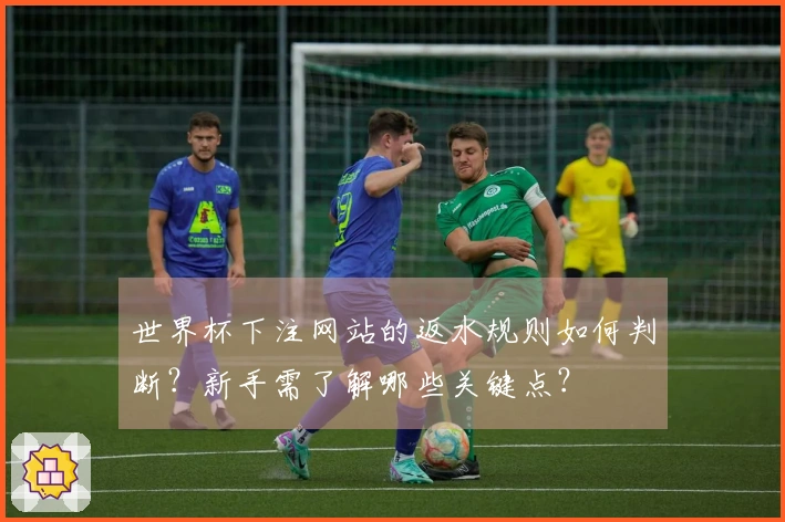世界杯下注网站的返水规则如何判断？新手需了解哪些关键点？