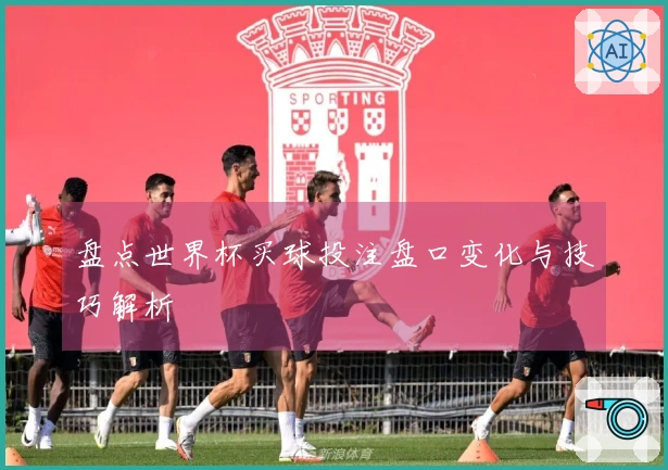 盘点世界杯买球投注盘口变化与技巧解析