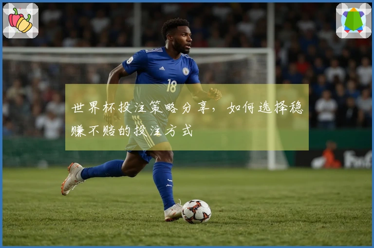 世界杯投注策略分享，如何选择稳赚不赔的投注方式