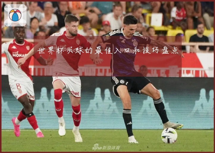 世界杯买球的最佳入口和技巧盘点