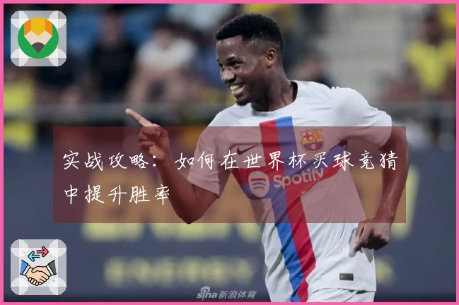 实战攻略：如何在世界杯买球竞猜中提升胜率