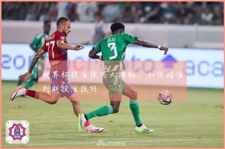 世界杯投注技巧大揭秘，如何精准判断投注技巧
