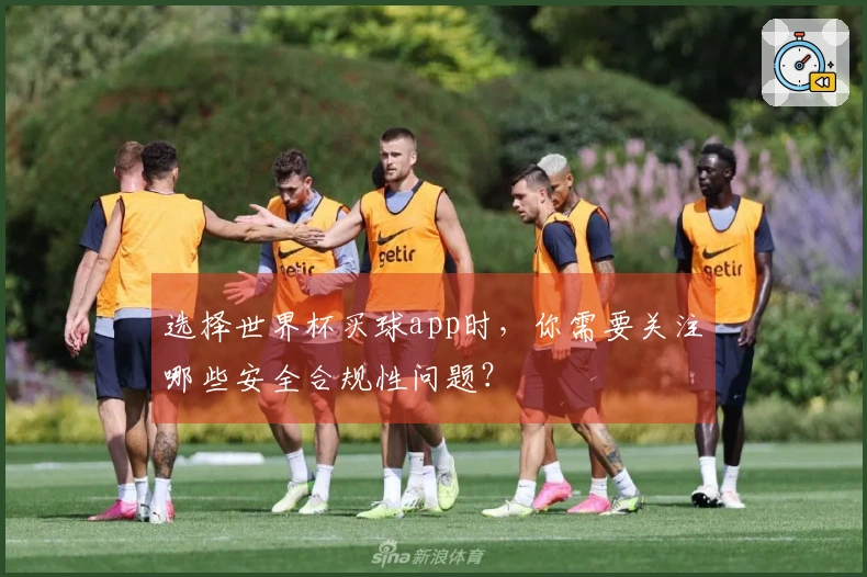 选择世界杯买球app时，你需要关注哪些安全合规性问题？