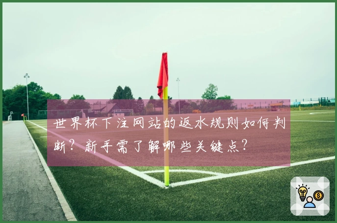 世界杯下注网站的返水规则如何判断？新手需了解哪些关键点？