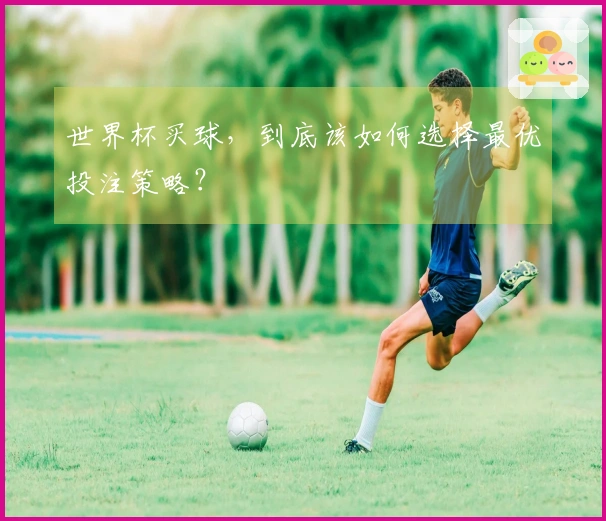 世界杯买球，到底该如何选择最优投注策略？