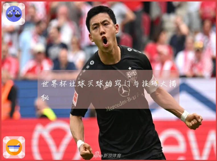世界杯让球买球的窍门与技巧大揭秘