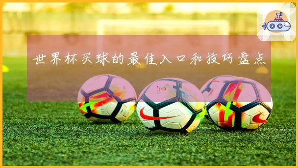 世界杯买球的最佳入口和技巧盘点