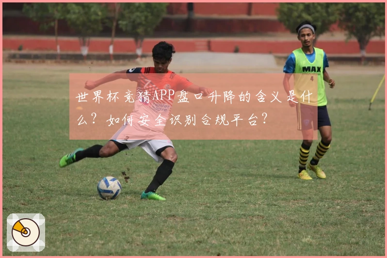 世界杯竞猜APP盘口升降的含义是什么？如何安全识别合规平台？
